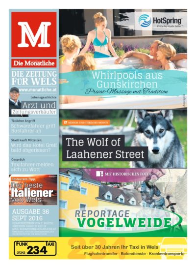 Die Monatliche – Ausgabe 36